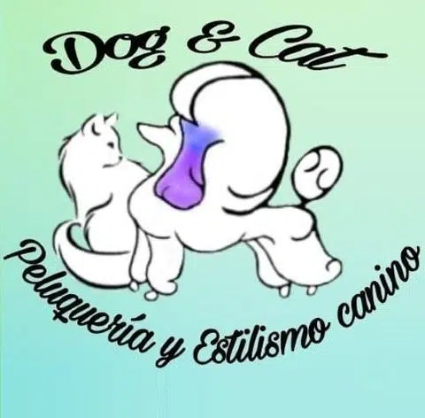 dog-cat