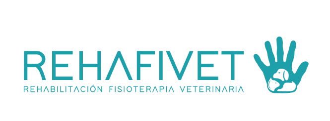 imgi_253_logo_rehafivet_color_245px